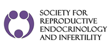 srei-logo.png